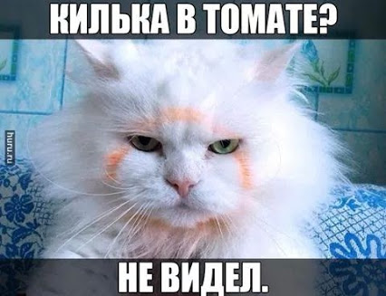 10.09.jpg