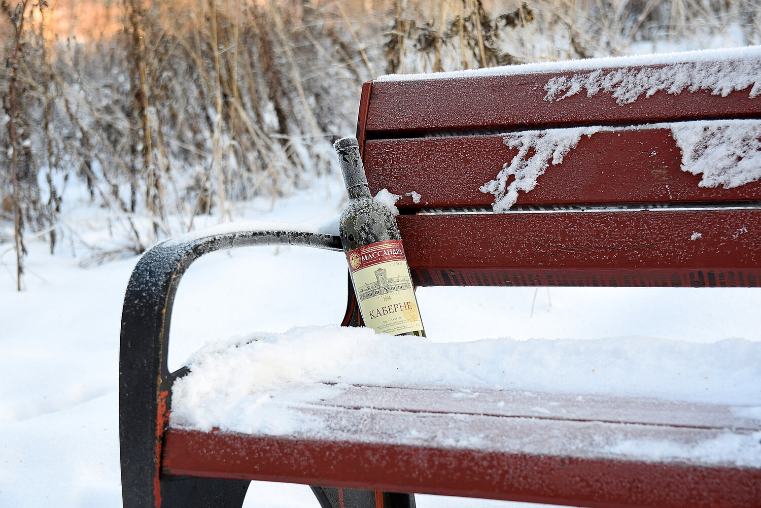 2018.12.16 14-39 DSC_0012{Preview}.jpg