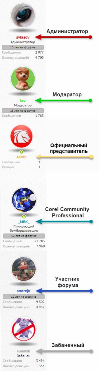 2024-03-19 16.17.44.jpg