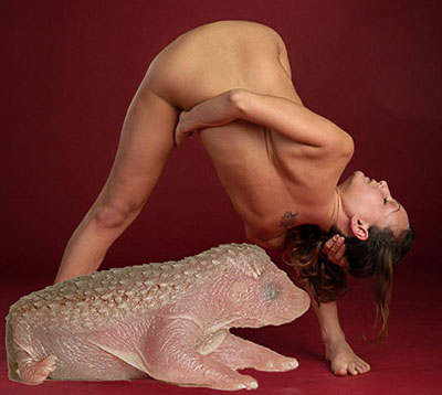 2eros.jpg
