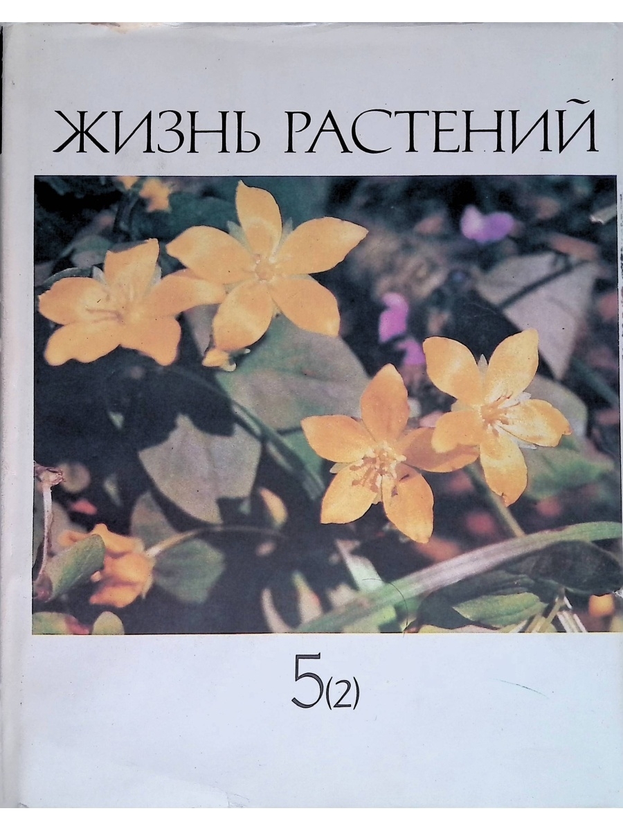 44280282-1.jpg
