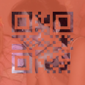 _qr3.png