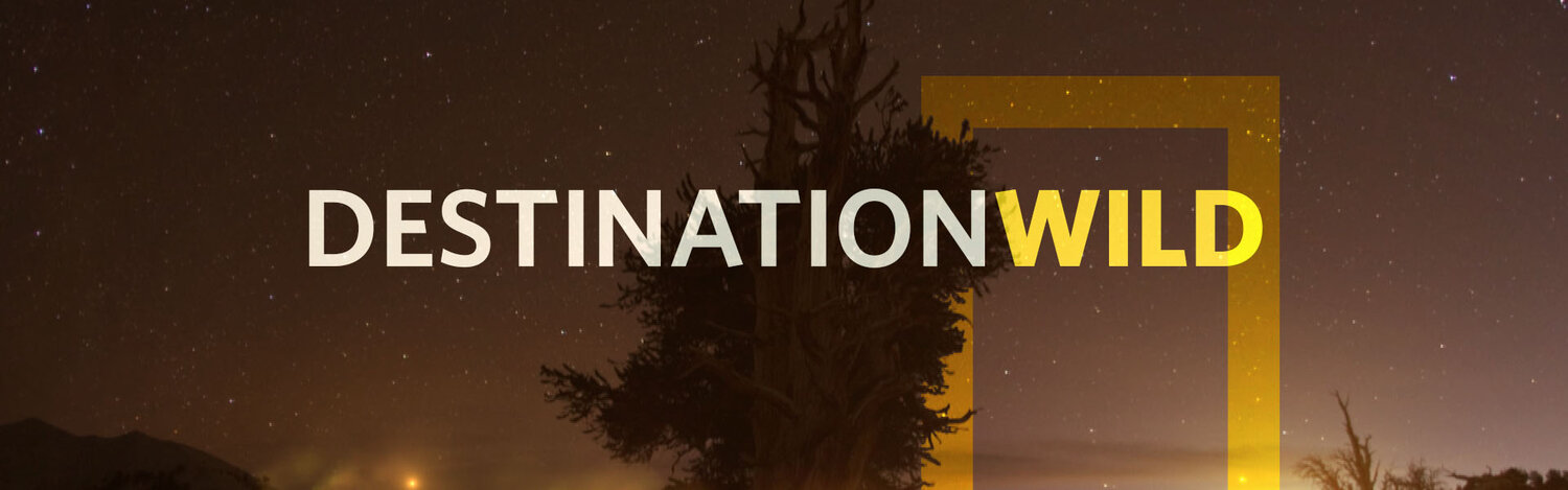 Destination_Wild_Cover.jpg