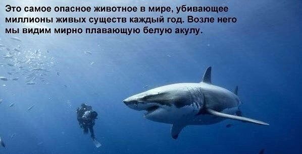 getImaяяge.jpg