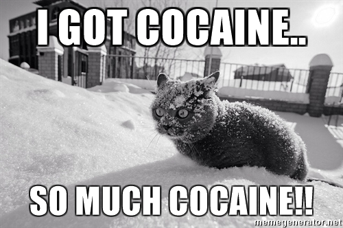 i-got-cocaine-so-much-cocaine.jpg