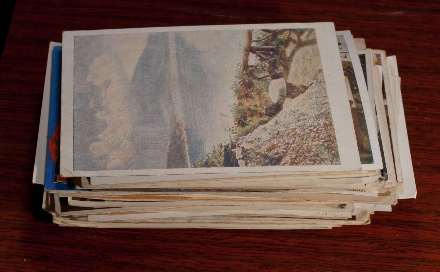 IMGP2814_Jeine.jpg IMGP2814_Jeine.jpg