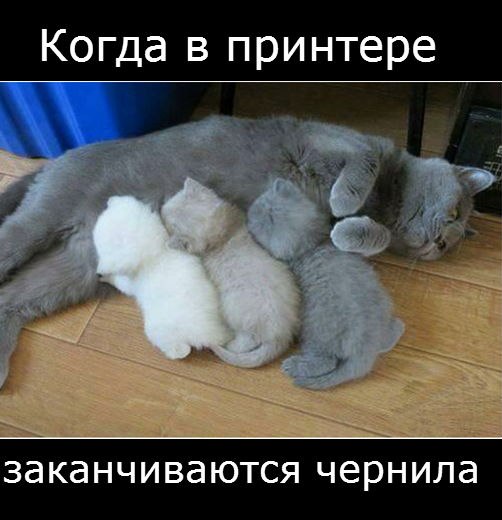 iVK1ek8kQt8.jpg
