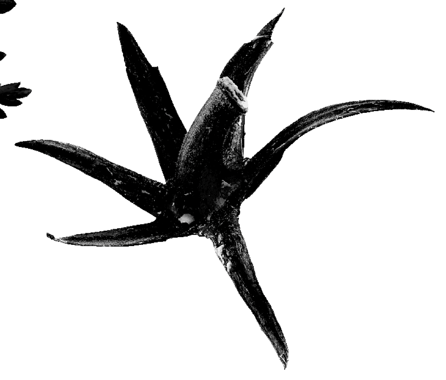 Screenshot 2026-02-18 at 08.31.00.png