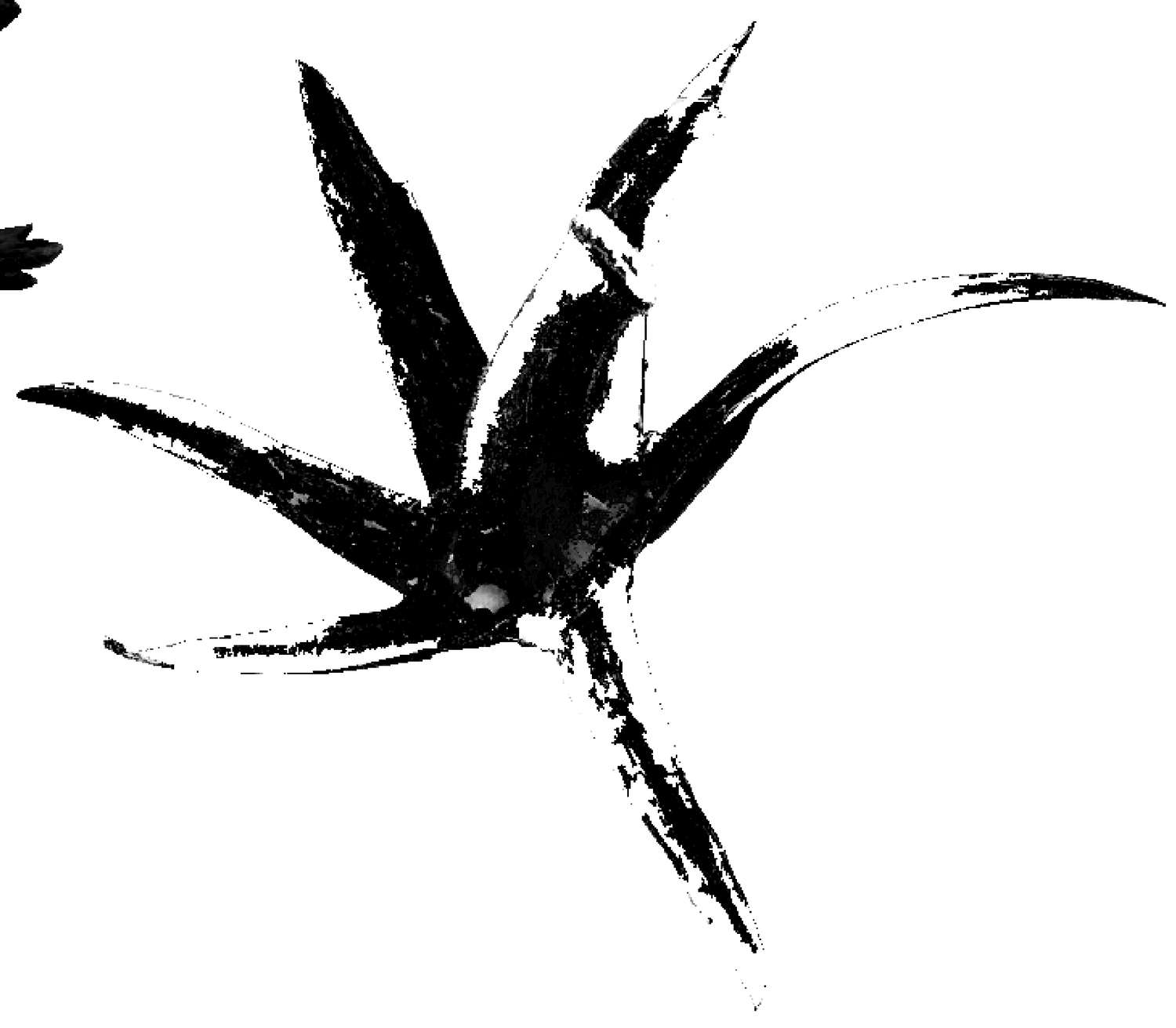 Screenshot 2026-02-18 at 08.31.44.png