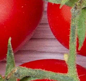 tomat 2.jpg
