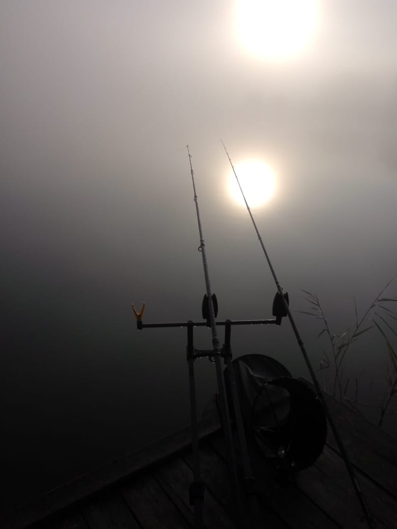 WhatsApp Image 2019-09-23 at 10.17.13.jpeg