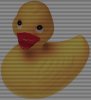 ducky copy.jpg