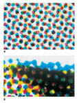 CMYK_Dots.jpg