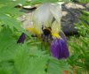 DSC00367.jpg