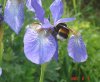 DSC00368.jpg