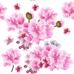 Floral paper_547.jpg
