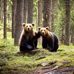 Three_bears_in_a_pine_forest_1.jpg