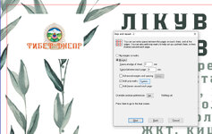 Без назви-2.jpg