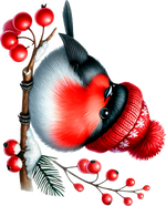 snegir.png