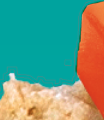 1755865843065.png 1755865843065.png