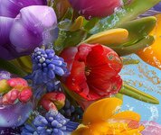 photo_2026-02-18 16.03.58.jpeg