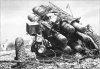 kursk_231.jpg