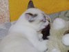 DSCF3422.JPG