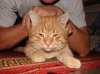 DSC00197.jpg