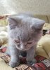 DSCF5004.jpg