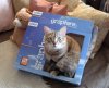 CAT_IMG_3345.jpg