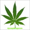 cannabis_leaf копия.jpg