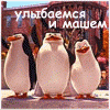 _Pingy.gif