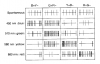 Opponent cell responses.png