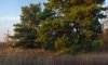 herbst2009_1.jpg