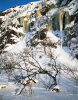 March_2010_2_end..jpg