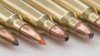 bullets9335..jpg