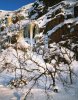 March_2010_3_end..jpg