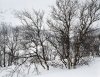 March_2010_9_end..jpg