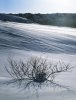 March_2010_11_end..jpg