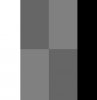 Scal_ gradient3..jpg