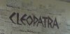 tmp1.jpg