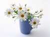 flower.jpg