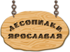 logo.png