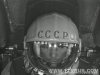 f_13685753.jpg