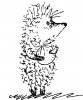hedgehog1.jpg
