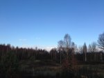 IMG_1115.jpg