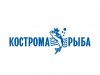 logo_04.jpg