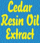Cedar_Font.jpg