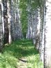 IMGP2511.jpg
