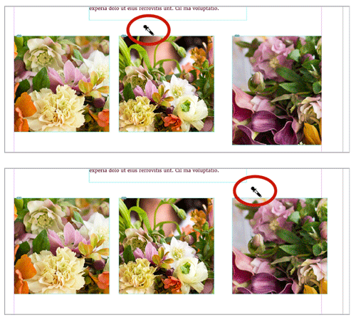 InDesign Eyedropper tool on edge of new image